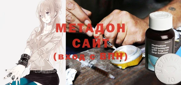 прущие грибы Армянск